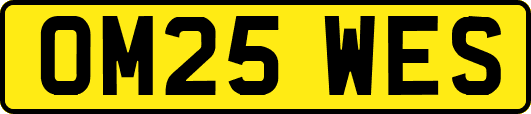 OM25WES