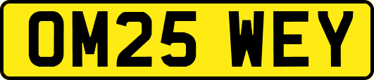 OM25WEY