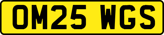 OM25WGS