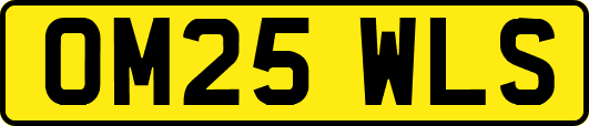 OM25WLS