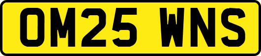 OM25WNS