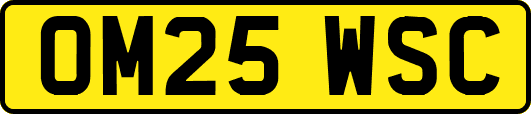 OM25WSC