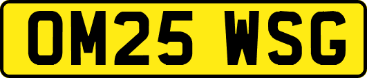 OM25WSG