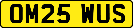 OM25WUS