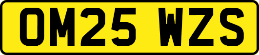 OM25WZS