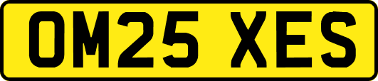 OM25XES