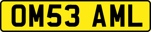 OM53AML