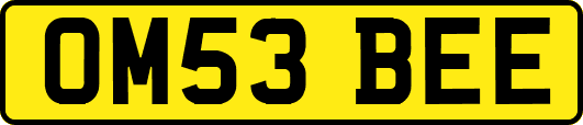 OM53BEE