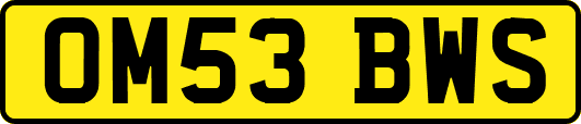 OM53BWS
