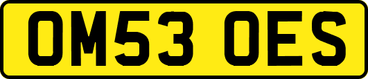 OM53OES