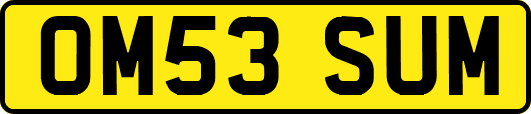OM53SUM
