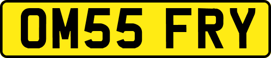 OM55FRY