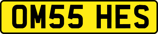 OM55HES