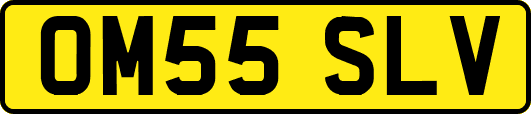 OM55SLV