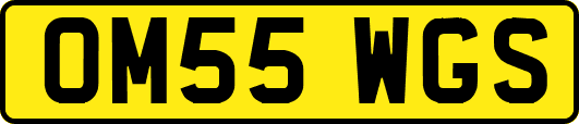 OM55WGS