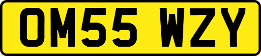 OM55WZY