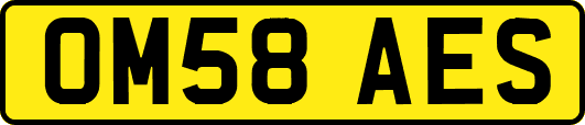 OM58AES