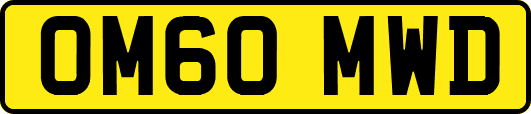 OM60MWD