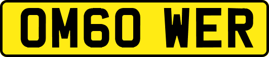 OM60WER