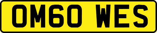 OM60WES