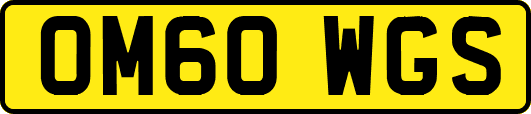 OM60WGS