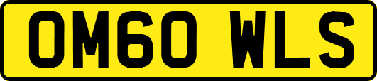 OM60WLS