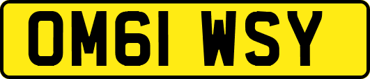 OM61WSY