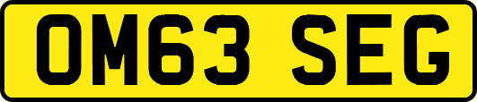 OM63SEG