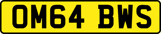 OM64BWS