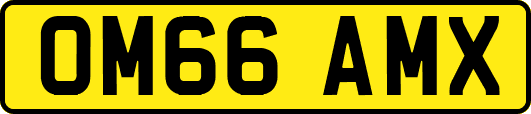 OM66AMX