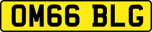 OM66BLG