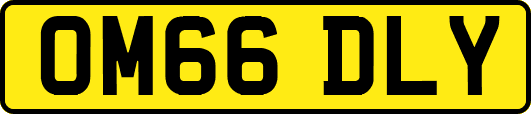 OM66DLY