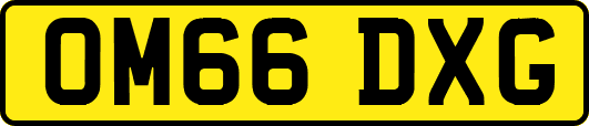 OM66DXG