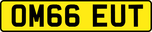 OM66EUT