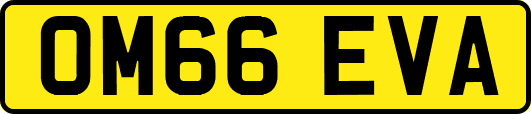 OM66EVA