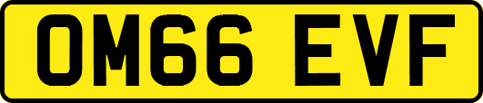 OM66EVF