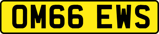 OM66EWS