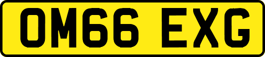 OM66EXG