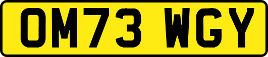 OM73WGY