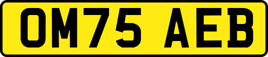 OM75AEB