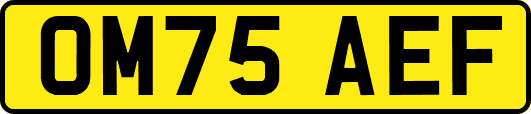 OM75AEF