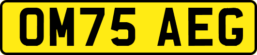 OM75AEG