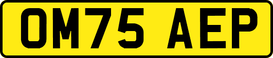 OM75AEP