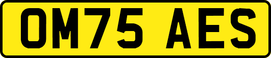OM75AES