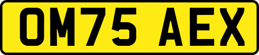 OM75AEX