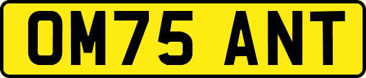 OM75ANT