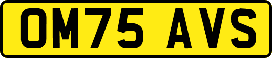 OM75AVS