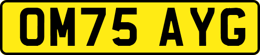 OM75AYG