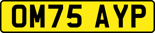 OM75AYP
