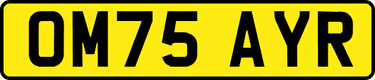 OM75AYR